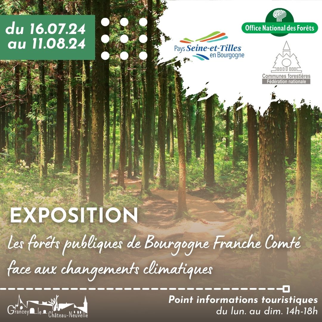 Expo forêts